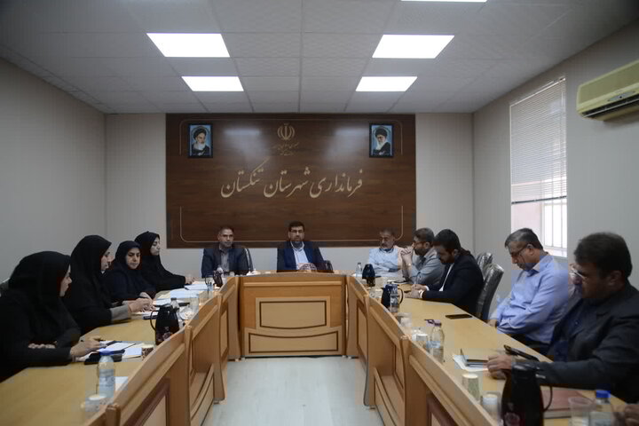 بانک اطلاعاتی سالمندان در شهرستان تنگستان تشکیل شود بانک اطلاعاتی سالمندان در شهرستان تنگستان تشکیل شود