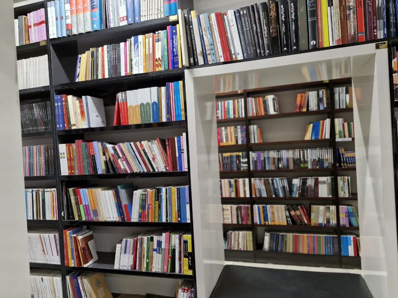 «کتابخوانی» راهی به سوی توسعه؛ زیرساختها دراستان بوشهر تقویت شود