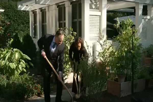 VIDEO: Harris plants tree for Zionist terrorists