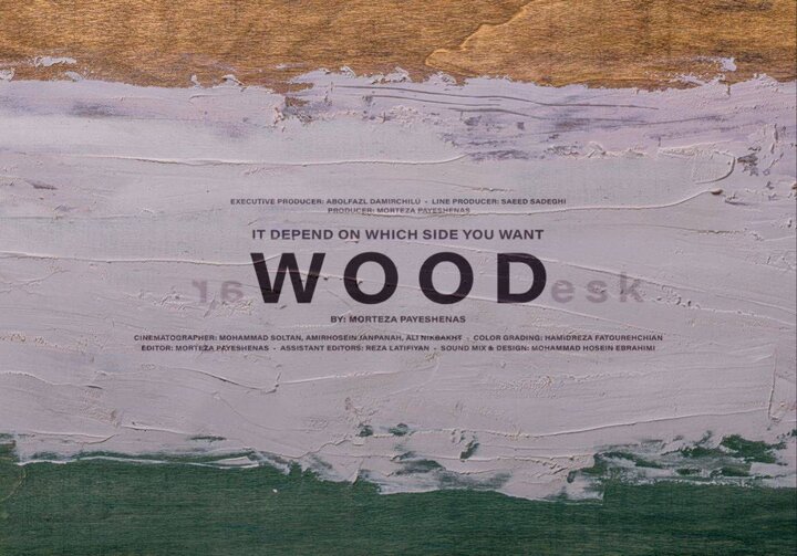 Iranian short film "Wood" to vie at Indian festival