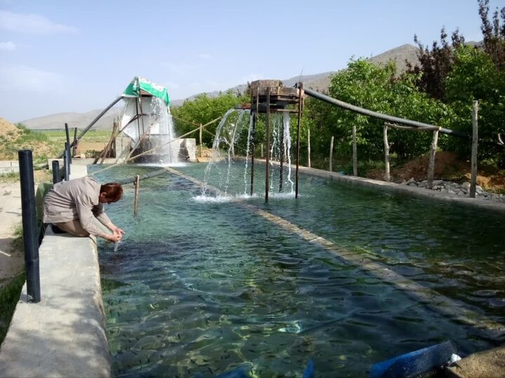 افتتاح سه طرح شیلاتی در استان کرمانشاه با اعتبار ۴۷۵ میلیارد ریال افتتاح سه طرح شیلاتی در استان کرمانشاه با اعتبار ۴۷۵ میلیارد ریال