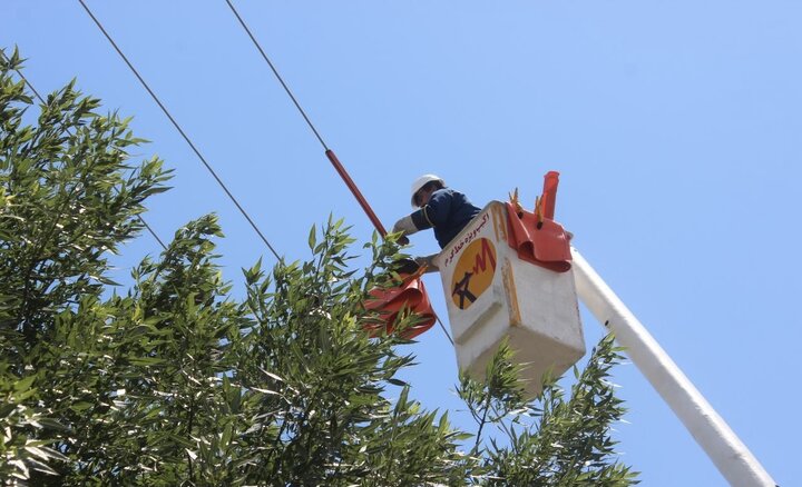 یک نفر از سیمبانان مصدوم رضوانشهری جان باخت یک نفر از سیمبانان مصدوم رضوانشهری جان باخت