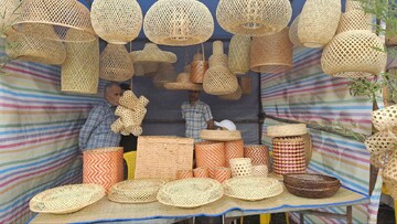 لیالستان مرکز بامبو ایران است / لزوم توجه به حل مسائل کشاورزان لاهیجان