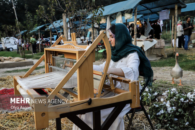 جشنواره پنبه در سرزمین طلای سفید - گرگان
