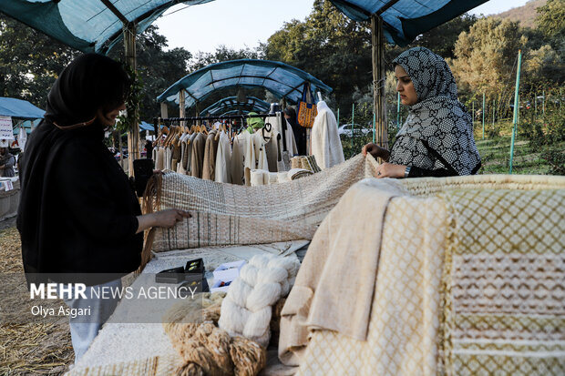جشنواره پنبه در سرزمین طلای سفید - گرگان