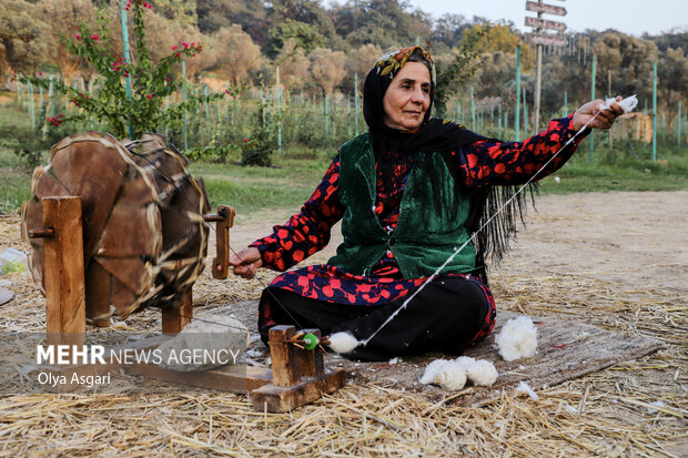 جشنواره پنبه در سرزمین طلای سفید - گرگان