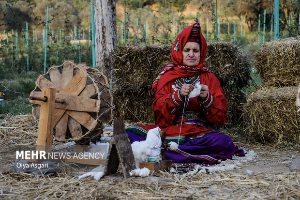 جشنواره پنبه در سرزمین طلای سفید - گرگان