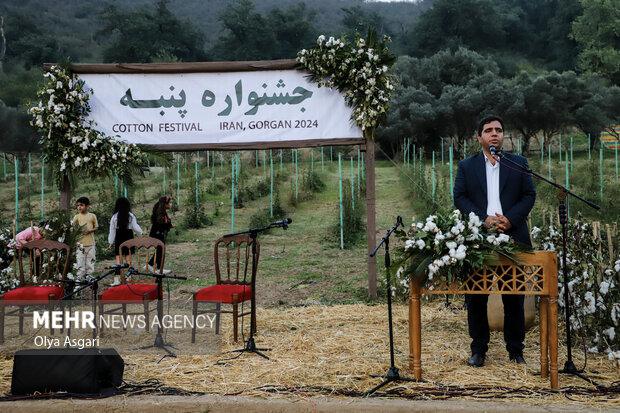 جشنواره پنبه در سرزمین طلای سفید - گرگان