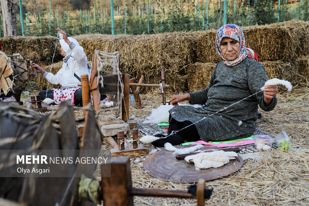 جشنواره پنبه در سرزمین طلای سفید - گرگان