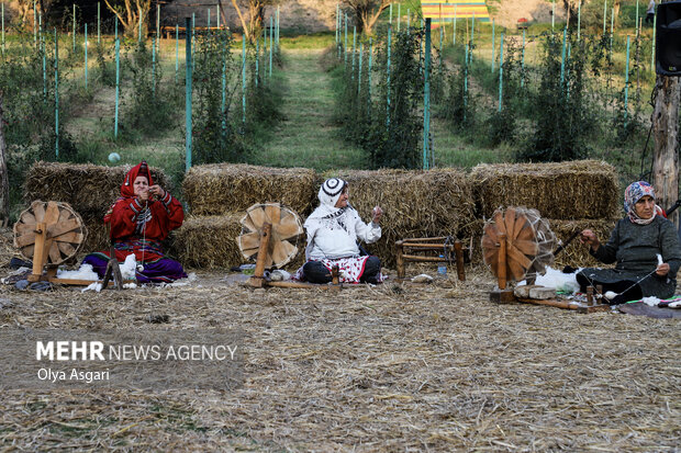 جشنواره پنبه در سرزمین طلای سفید - گرگان