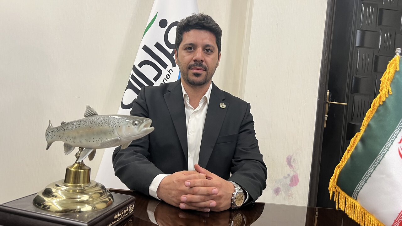 شرکت فرادانه با برندهای خوب دنیا رقابت میکند