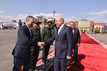 رئیس مجلس و هیأت پارلمانی ایران دوشنبه را به مقصد تهران ترک کردند