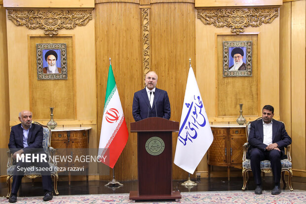 بازگشت رئیس مجلس شورای اسلامی از تاجیکستان