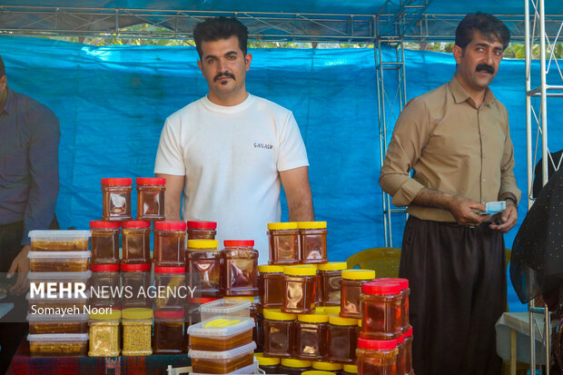 عسل زاگرس در مسیر جهش صادراتی؛زنبورداری کرمانشاه در انتظار حمایت