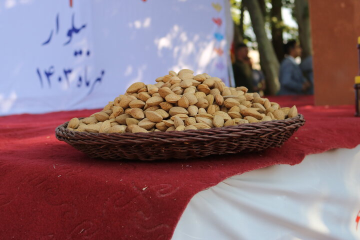 جشنواره بادام و عسل در بیلوار کرمانشاه با هدف معرفی ظرفیتها جشنواره بادام و عسل در بیلوار کرمانشاه با هدف معرفی ظرفیتها