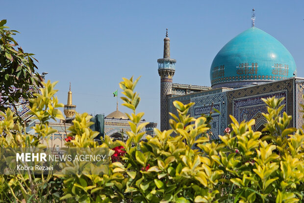 حرم مطهر رضوی در روز میلاد امام حسن عسکری(ع)