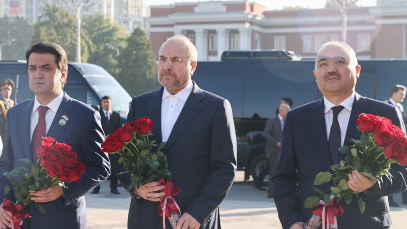 دیپلماسی پارلمانی برای حمایت از غزه و لبنان/ تاکید بر قدرت ایران