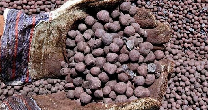 Iron ore pellet export hits $454 mn in 6 months