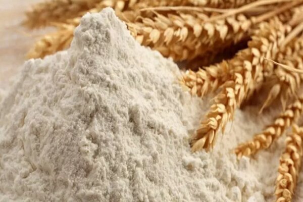 از سنت تا سنتا؛ انقلاب دیجیتال در توزیع آرد سیستان و بلوچستان