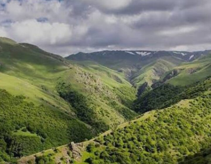 جنگل بکر و زیبای(( حاتم مشه سی)) در مشگین شهر جنگل بکر و زیبای(( حاتم مشه سی)) در مشگین شهر