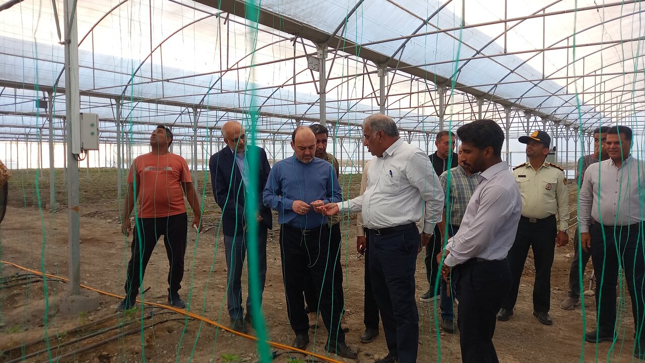 الزامات نظام مهندسی برای احداث گلخانهها باید بازبینی شود