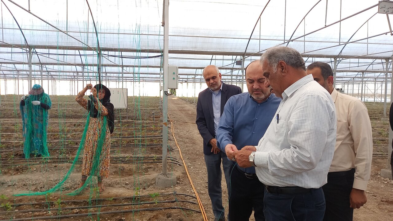 الزامات نظام مهندسی برای احداث گلخانهها باید بازبینی شود