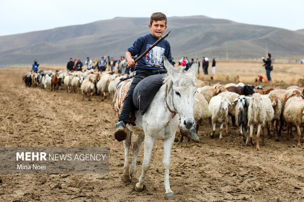 سرشماری کشاورزی جامعه عشایر استان بوشهر انجام میشود