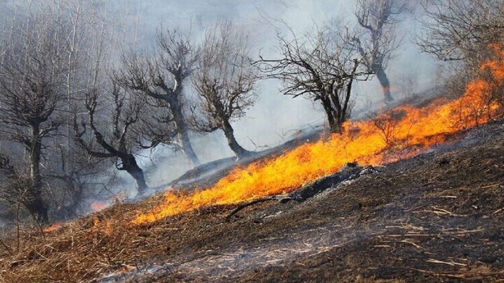 آتش سوزی در 10 هکتار از مراتع روستای گاومیشان بوکان