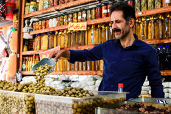 İran’ın yeşil altını; Zeytin