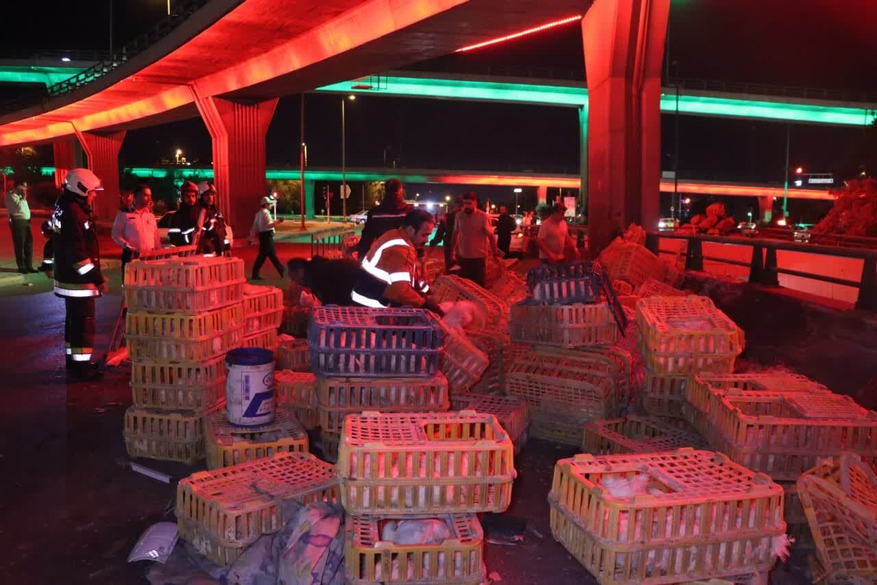 کامیونت در اصفهان تصادف کرد / مرغهای زنده تلف شدند