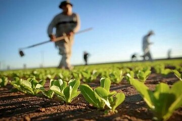 امهال بیش از ۳ هزار فقره تسهیلات سرمایه در گردش در چهارمحال و بختیاری