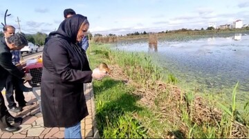 کشف و رها سازی ۱۳ پرنده مهاجر از فروشندگان غیرمجاز در لنگرود