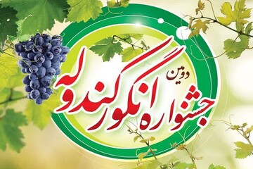 دومین جشنواره «انگور کندوله» برگزار می‌شود