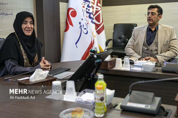 تشکیل شرکت توسعه صنایع دستی/چرا بخش خصوصی حراج برگزار نمیکند؟