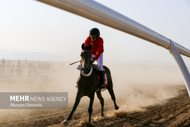 درخشش اسبهای خراسان شمالی در مسابقات کورس گنبد کاووس
