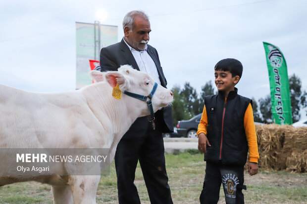 
Livestock, poultry, fisheries exhibition in Gorgan