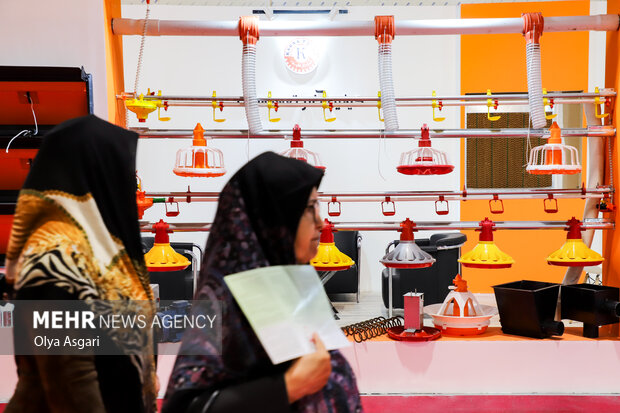 
Livestock, poultry, fisheries exhibition in Gorgan