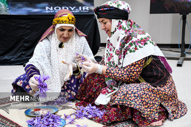 زعفران در بورس، کشاورز در بنبست؛ طلای سرخ در دوراهی صادرات و فرآوری