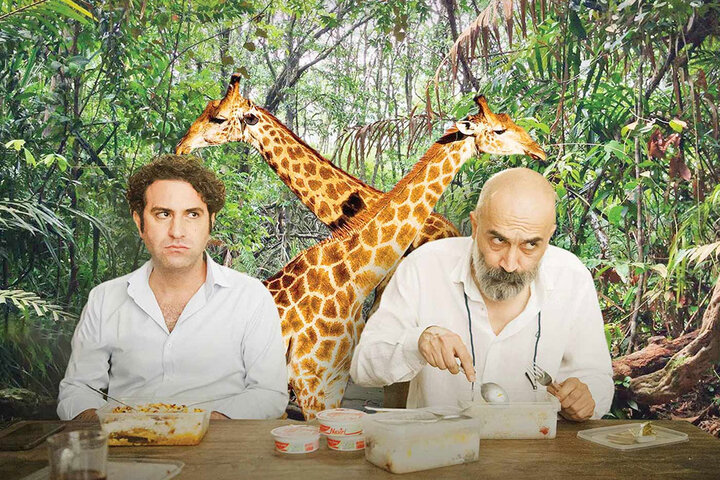 از تماشای ماجراهای یک «بچه زرنگ» تا خوردن صبحانه متفاوت با زرافهها! از تماشای ماجراهای یک «بچه زرنگ» تا خوردن صبحانه متفاوت با زرافهها!