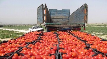 Iran’s agricultural exports up by 28% in 7 months: IRICA