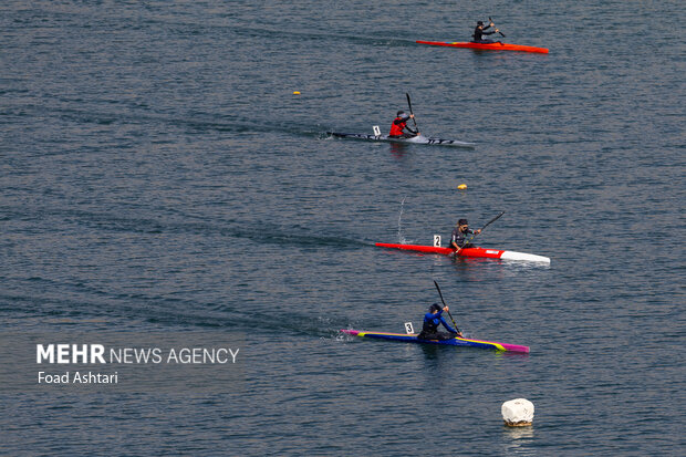رئیس هیئت قایقرانی استان بوشهر انتخاب شد