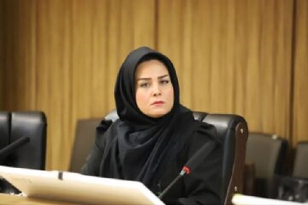 رزاقی: شورا نباید به صحنه رقابت ریاست طلبی تبدیل شود رزاقی: شورا نباید به صحنه رقابت ریاست طلبی تبدیل شود