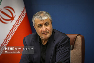 Iran relations with IAEA ‘continuous, daily’