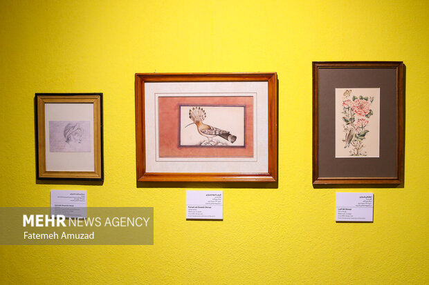 مروری بر همسفر با آفتاب؛ از گلهای داوودی تا اُکیناوا