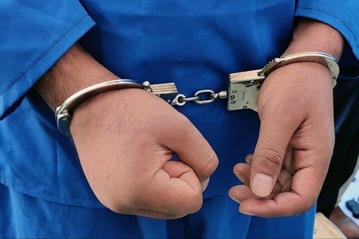 سارقان اماکن خصوصی در نهبندان به دام قانون افتادند