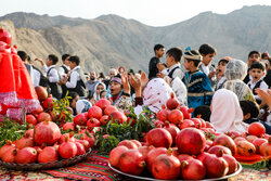 بهجت حقیقی: اولین جشنواره انار کازرون برگزار می‌شود