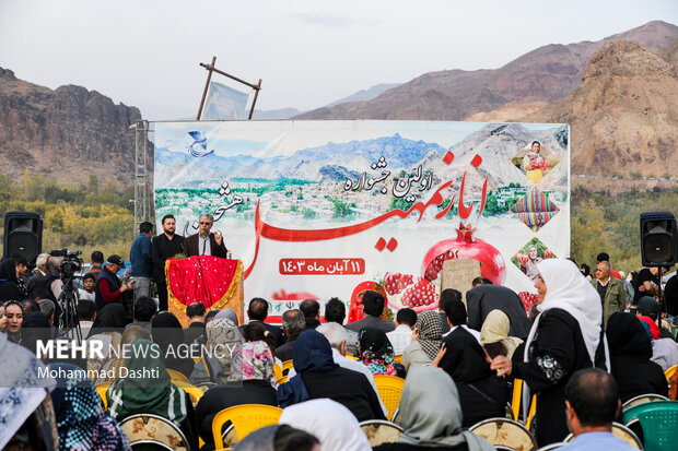 نخستین جشنواره انار روستای نمهیل خلخال