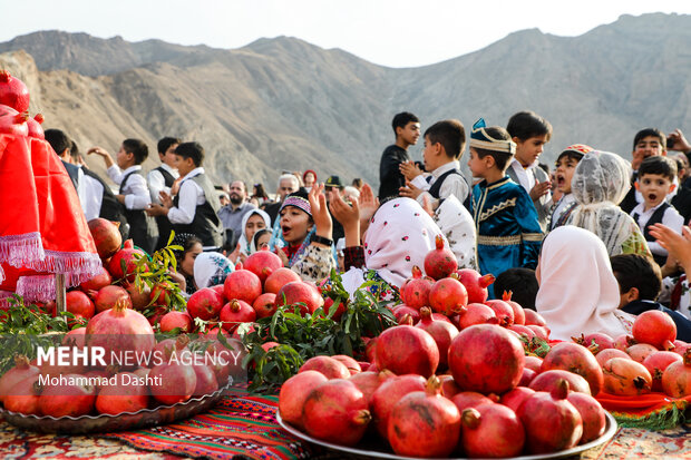 نخستین جشنواره انار روستای نمهیل خلخال