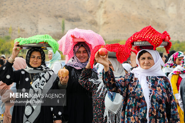 نخستین جشنواره انار روستای نمهیل خلخال