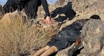 Iran kills chieftain of terrorist team behind Taftan attack